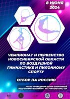 Чемпионат и Первенство Новосибирской области по воздушной гимнастике и пилонному спорту